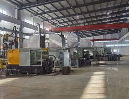 कास्टिंग कार्यशाळा