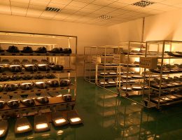 जुनी चाचणी