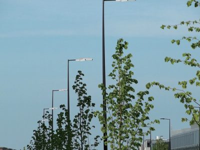 शहरातील रस्त्यांवरचा दिवा